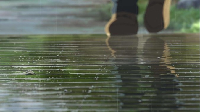 新手养鱼，养什么鱼好？